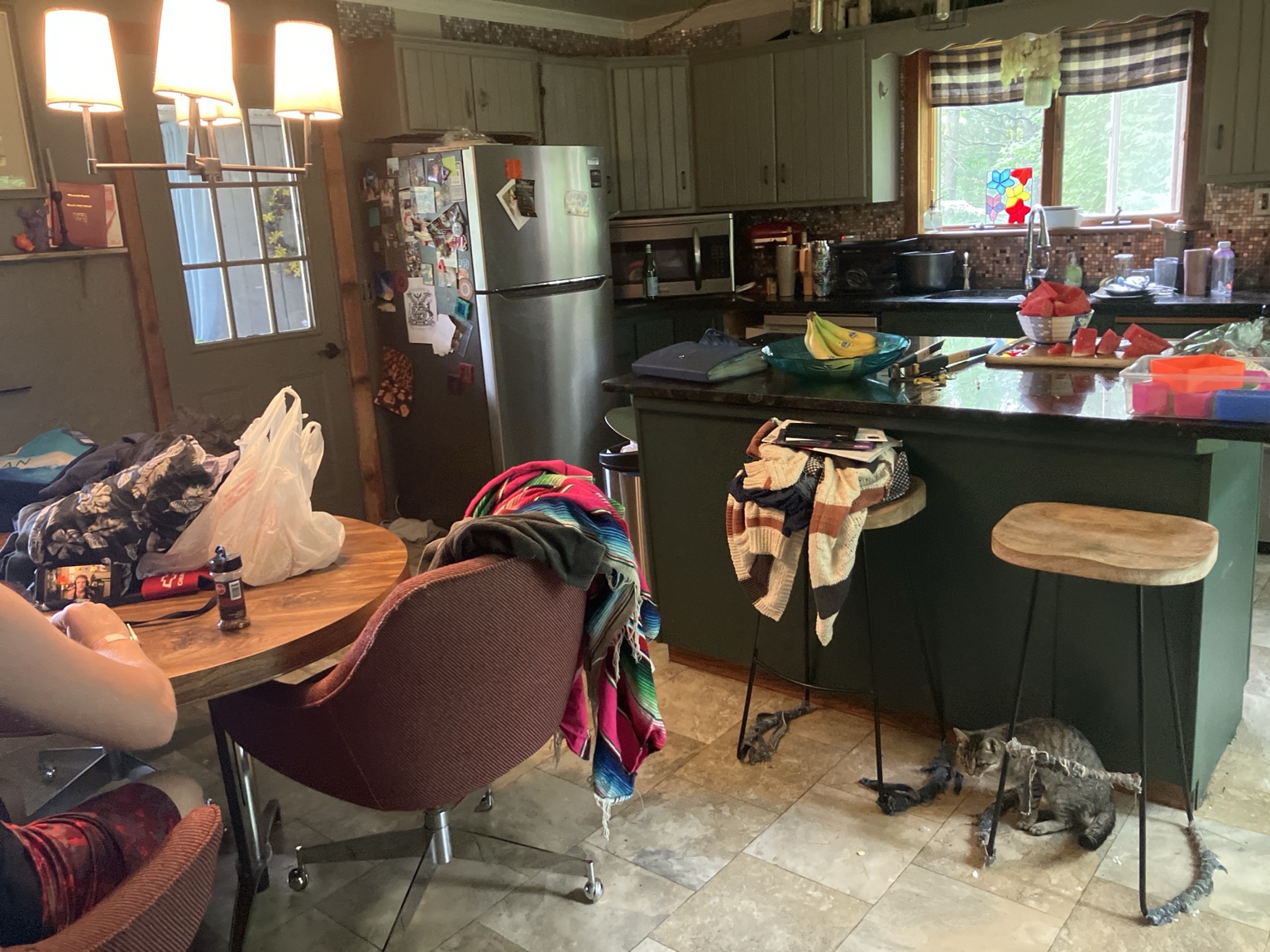 A real kitchen — cat on the floor, blankets on chairs, life happening